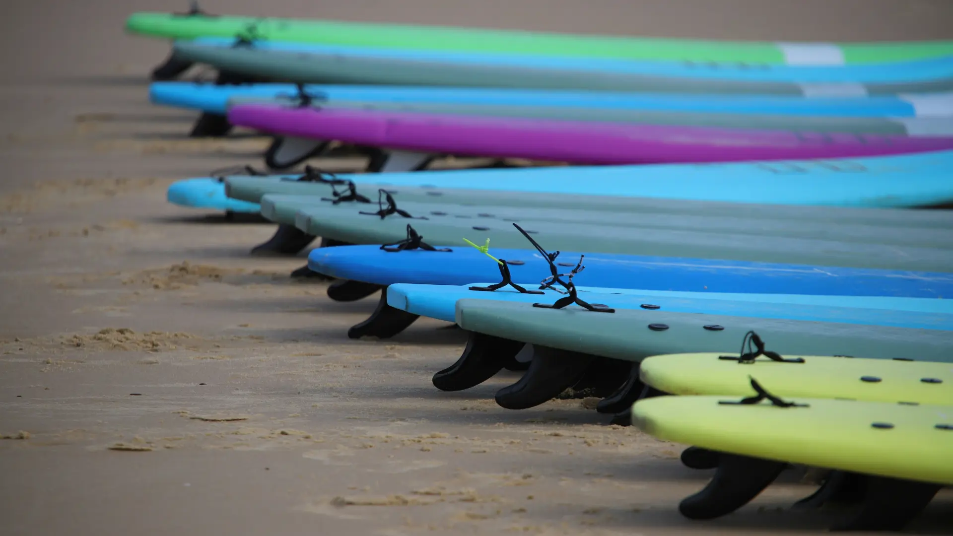 best surfboards for beginners